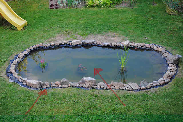 Teich Reinigen: Begutachtung