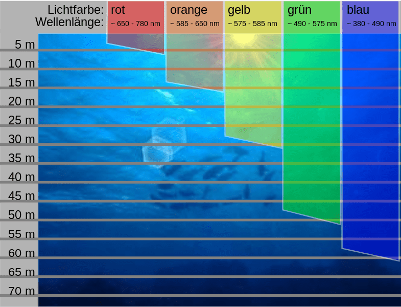 Lichtspektrum meerwasseraquarium - Unser TOP-Favorit 