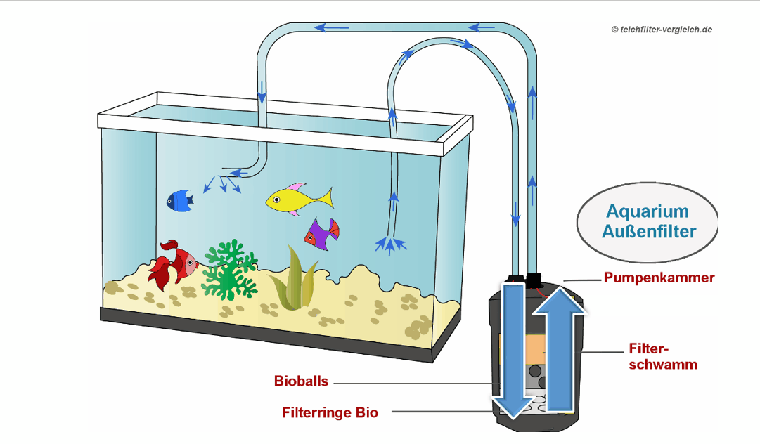 Aquarium Außenfilter: Funktionsweise I