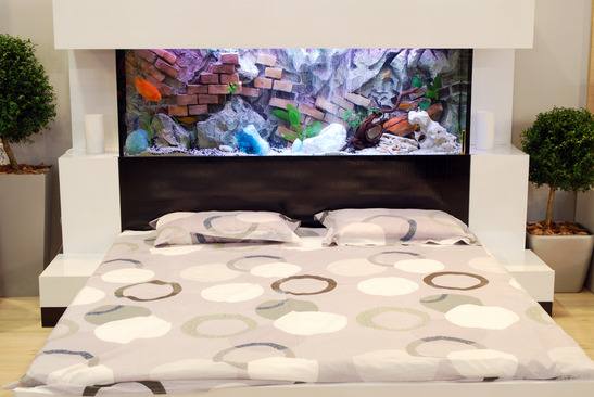 Auqarium am Bett einrichten