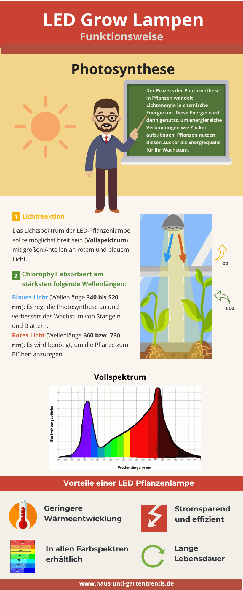 LED-Grow-Lampe-Pflanzenlampe Infografik