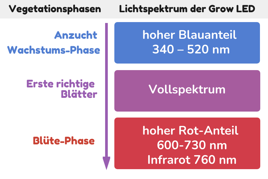 Lichtspektrum der Grow LEDs für die Vegetationsphasen