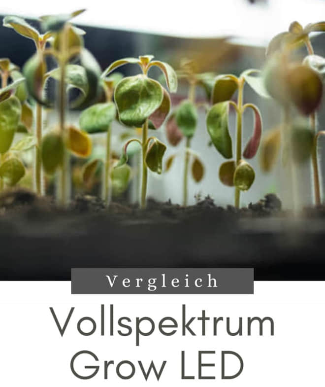 Vollspektrum Grow LED Kaufberatung Pflanzenlampe