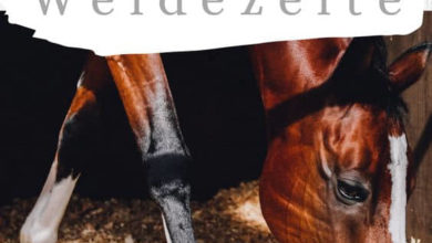 Weidezelt pferde