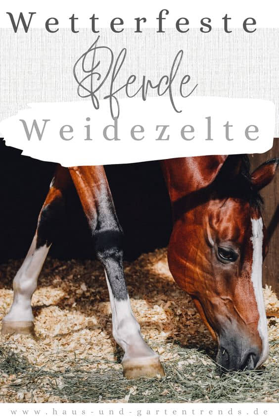 Weidezelt pferde